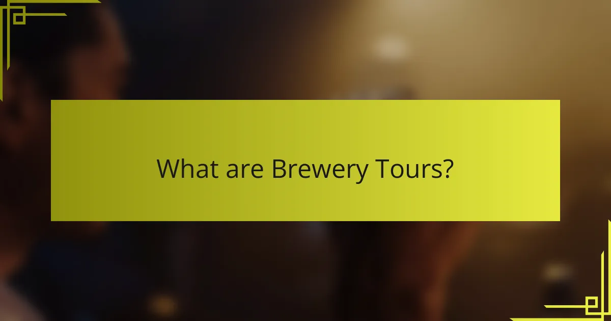 What are Brewery Tours?