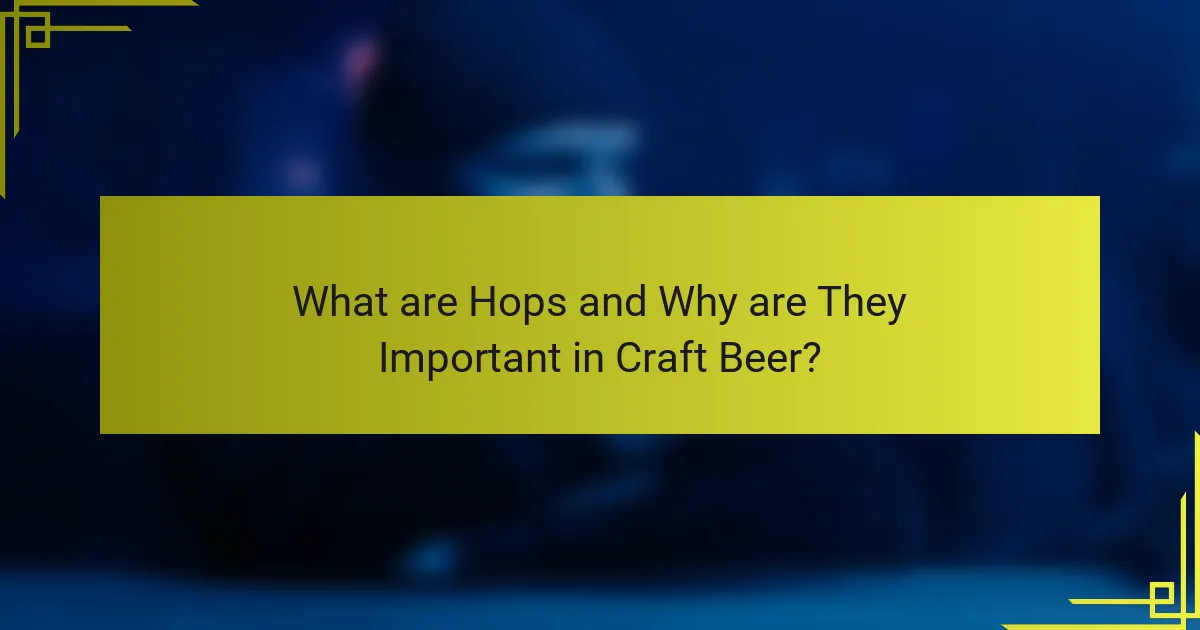 What are Hops and Why are They Important in Craft Beer?