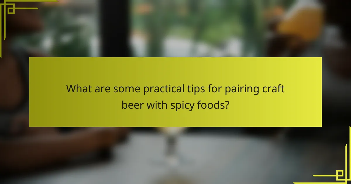 What are some practical tips for pairing craft beer with spicy foods?