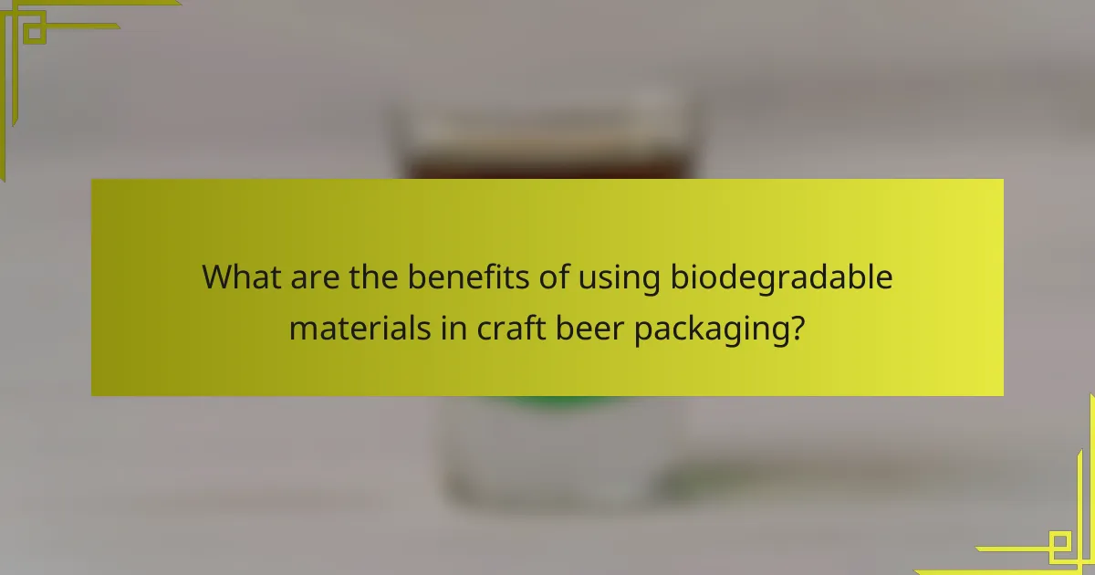 What are the benefits of using biodegradable materials in craft beer packaging?