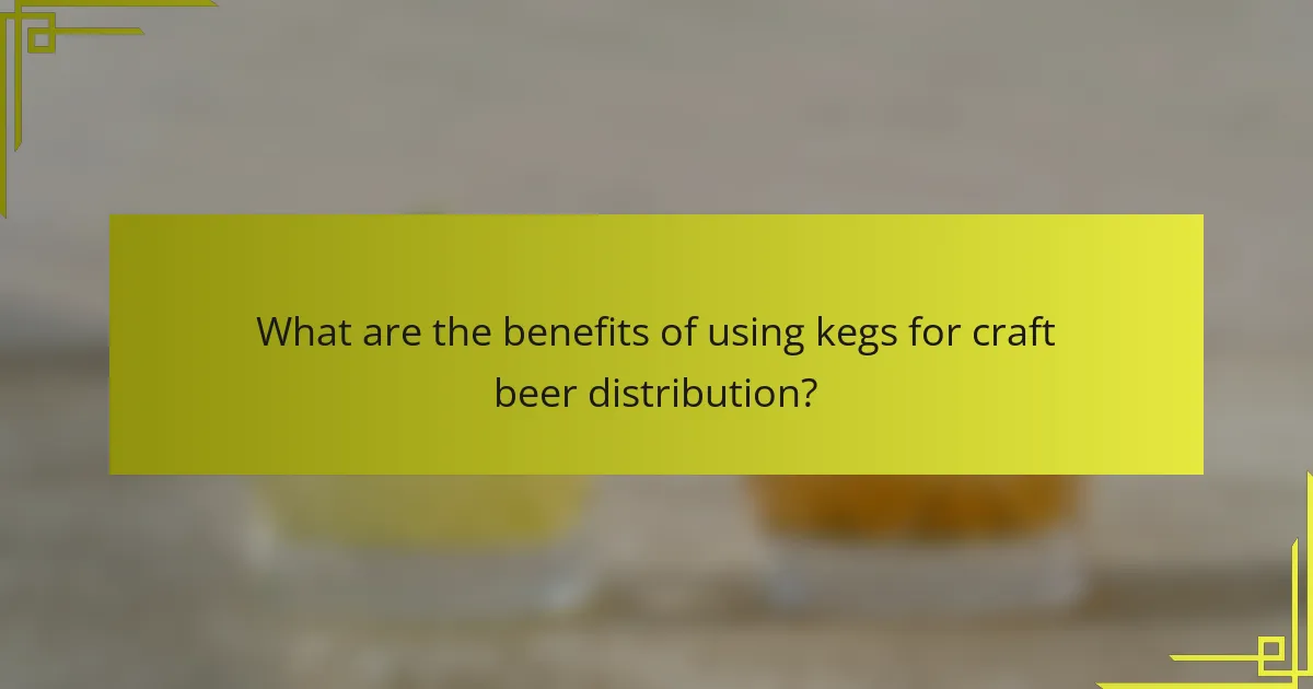 What are the benefits of using kegs for craft beer distribution?