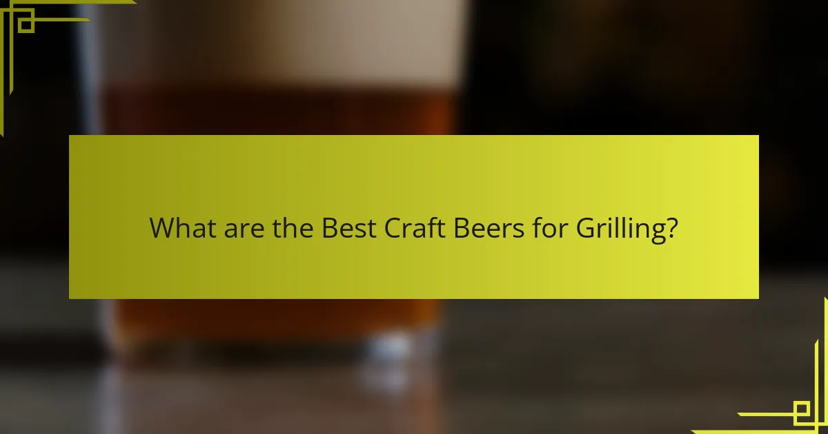 What are the Best Craft Beers for Grilling?