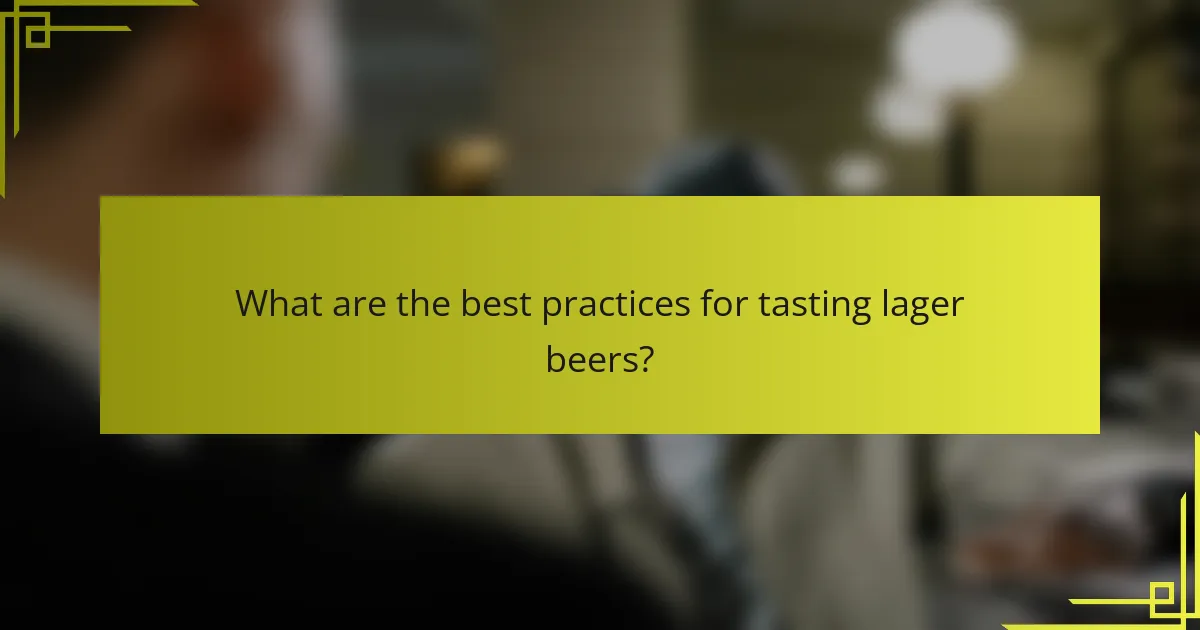 What are the best practices for tasting lager beers?