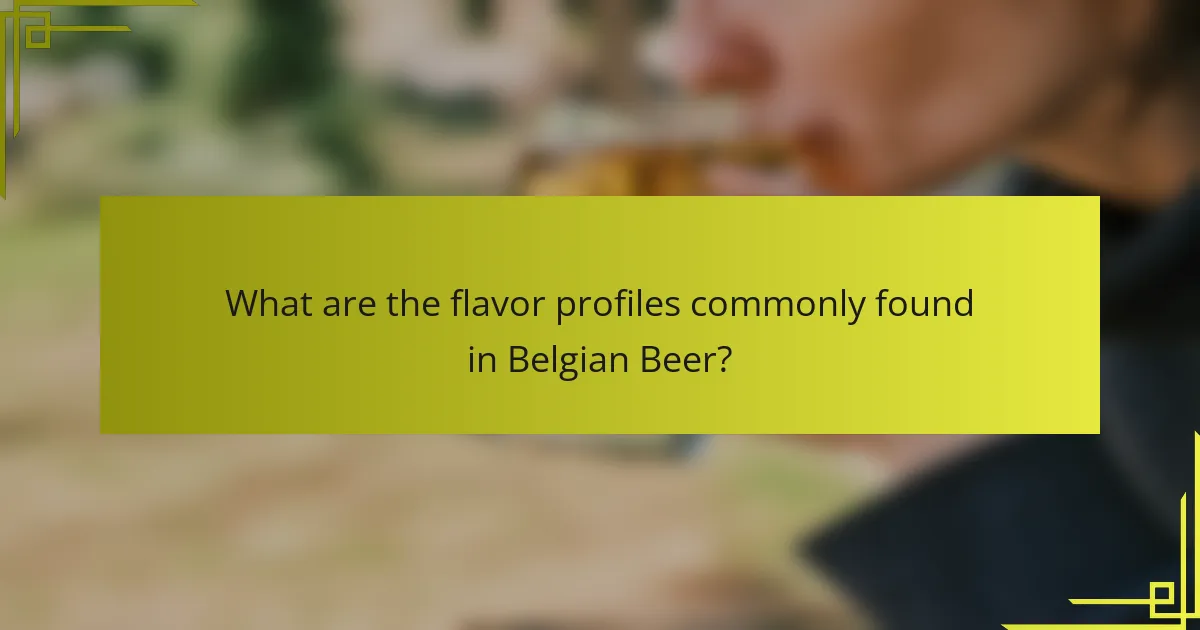 What are the flavor profiles commonly found in Belgian Beer?
