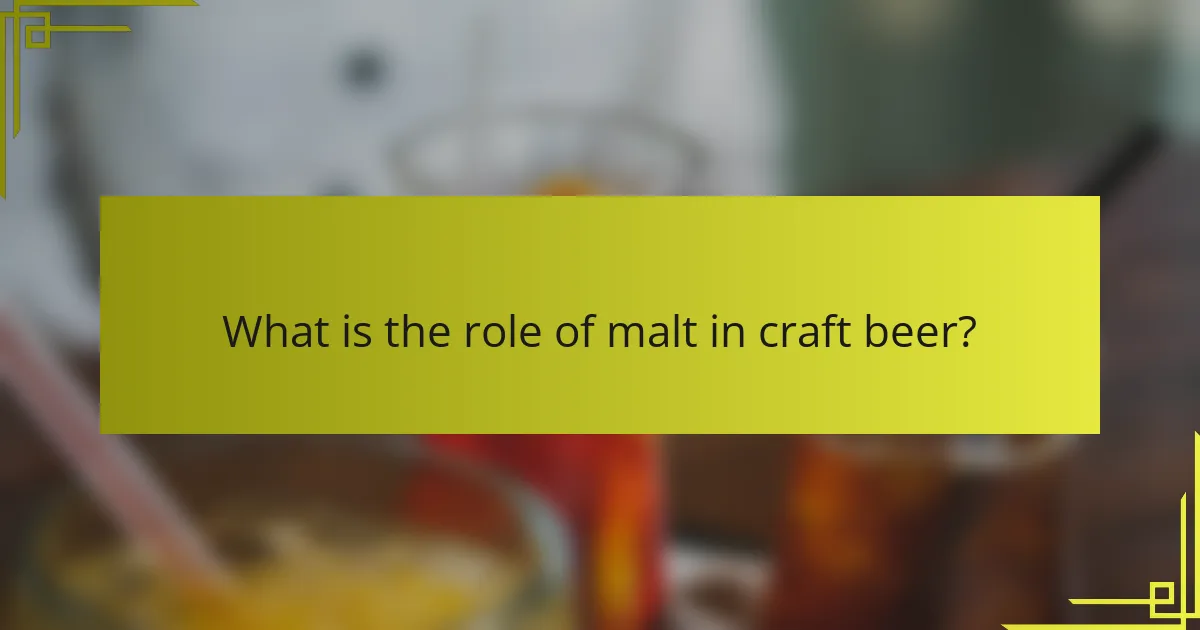 What is the role of malt in craft beer?