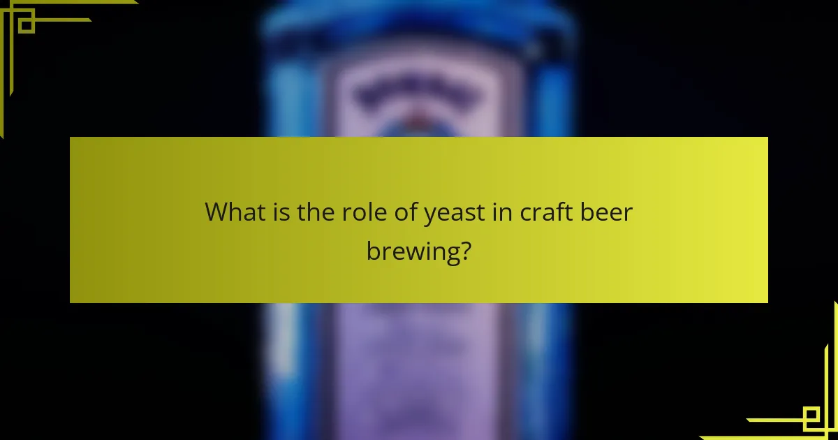 What is the role of yeast in craft beer brewing?