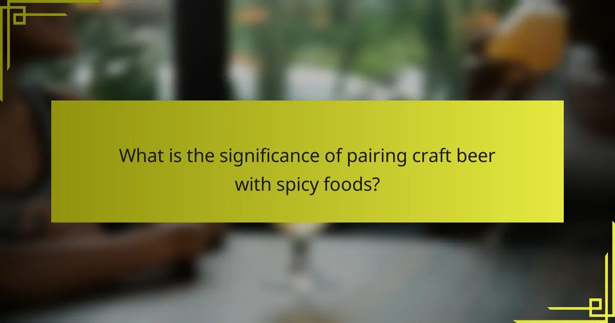 What is the significance of pairing craft beer with spicy foods?