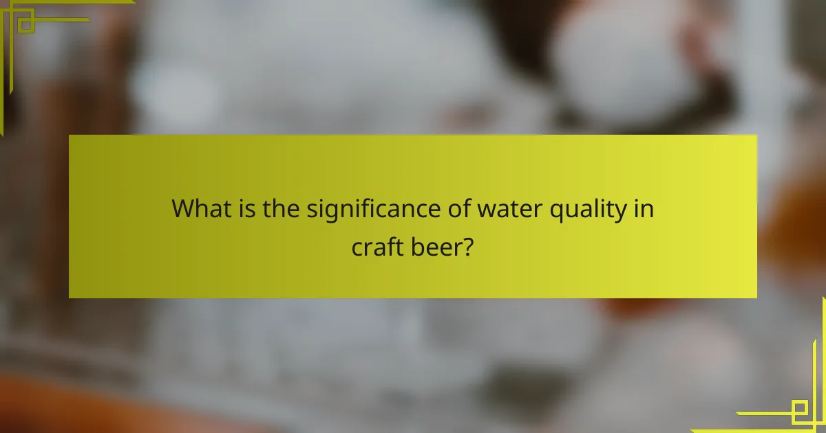 What is the significance of water quality in craft beer?
