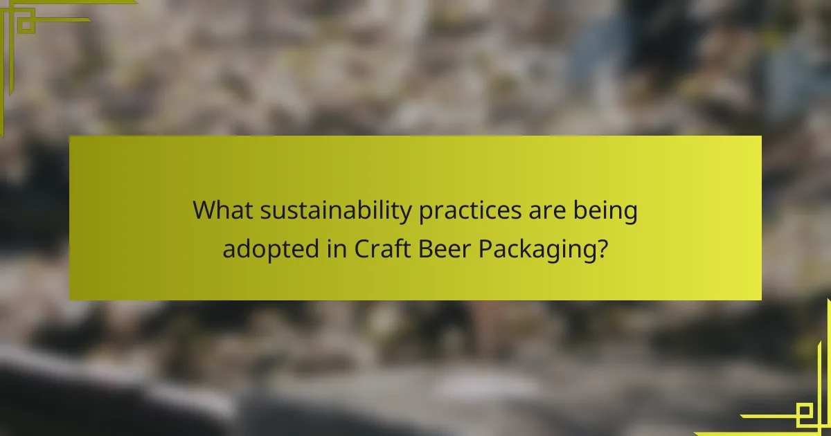What sustainability practices are being adopted in Craft Beer Packaging?