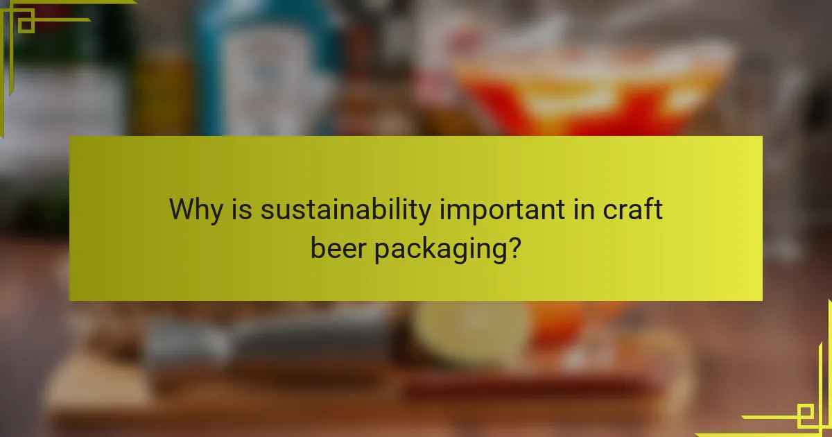 Why is sustainability important in craft beer packaging?